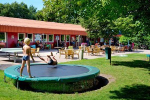 camping de bouwte midwolda23